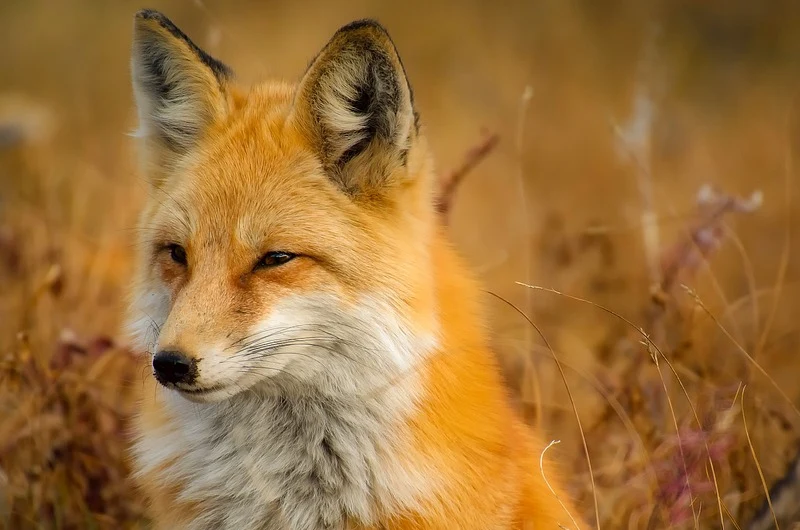 Działanie filtra polaryzacyjnego